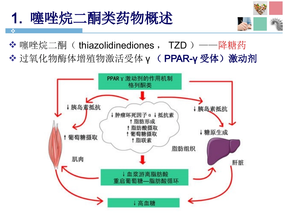 噻唑烷二酮类药物导致的药源性水肿_第3页