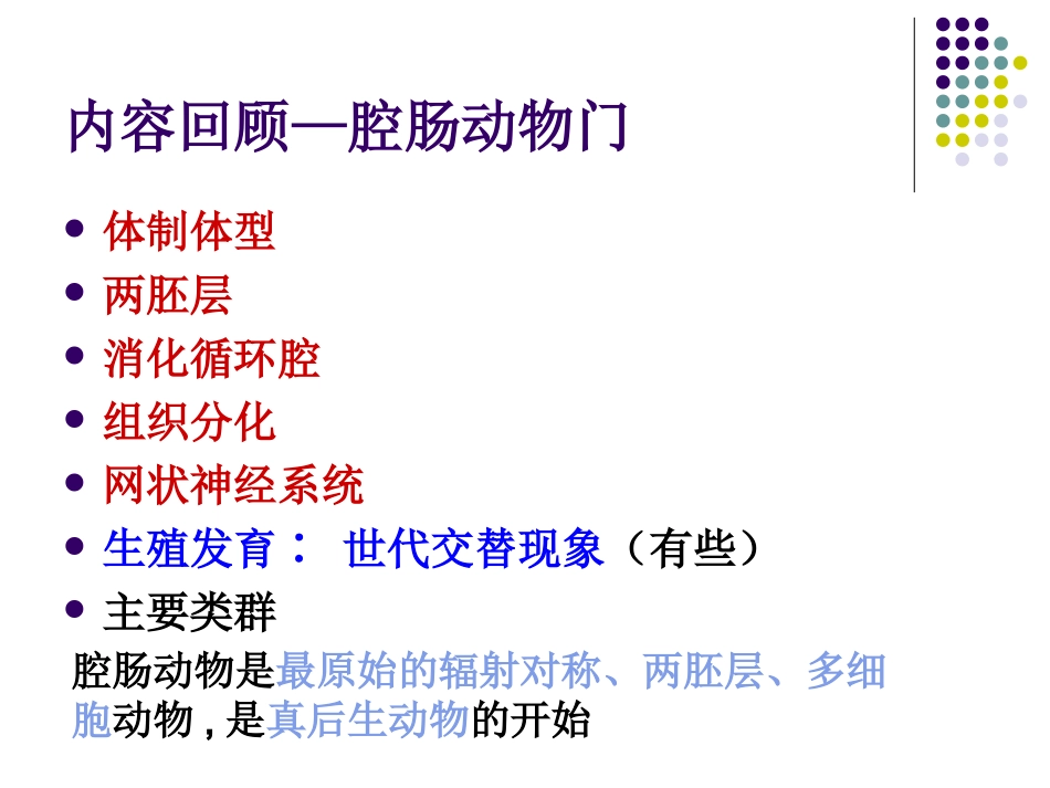 三胚层无体腔动物四扁形动物门精_第2页