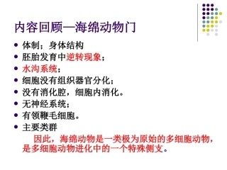 三胚层无体腔动物四扁形动物门精