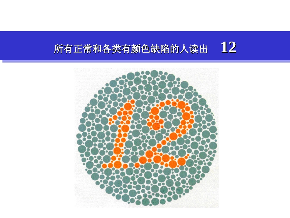 色盲测试结果_第2页