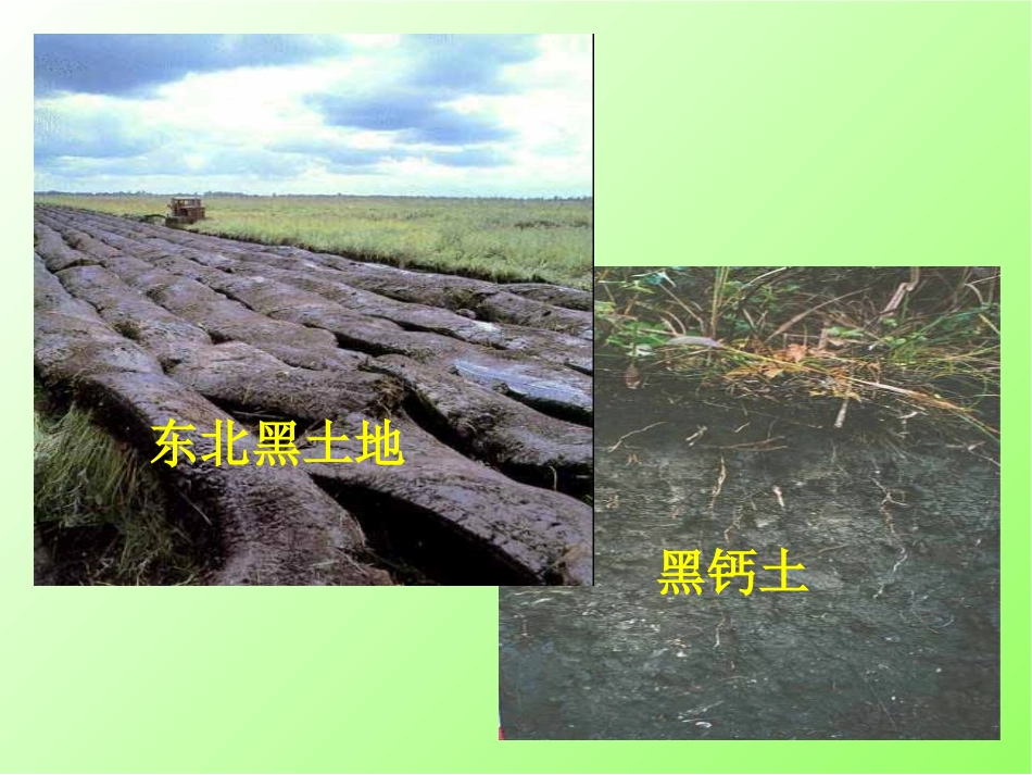 砂土类土壤黏土类土壤壤土类土壤_第2页