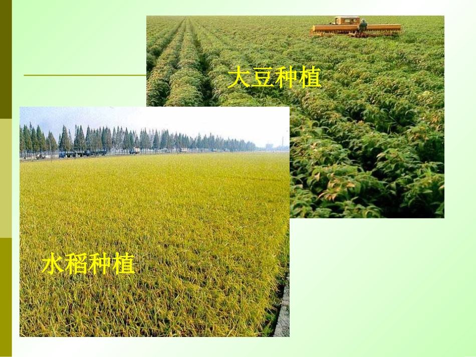 砂土类土壤黏土类土壤壤土类土壤_第3页