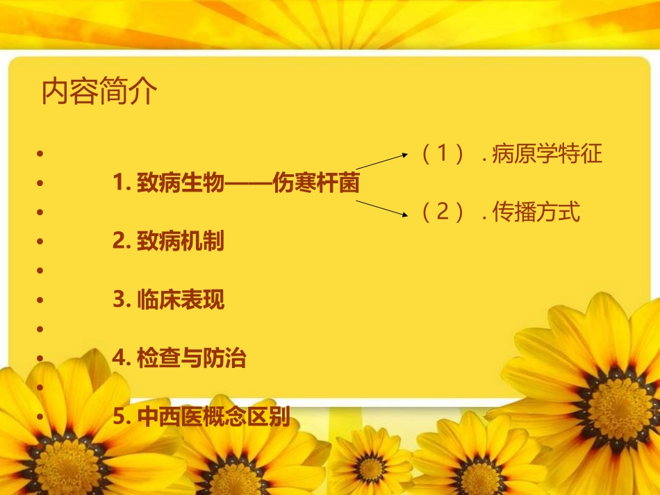 伤寒杆菌课件_第2页