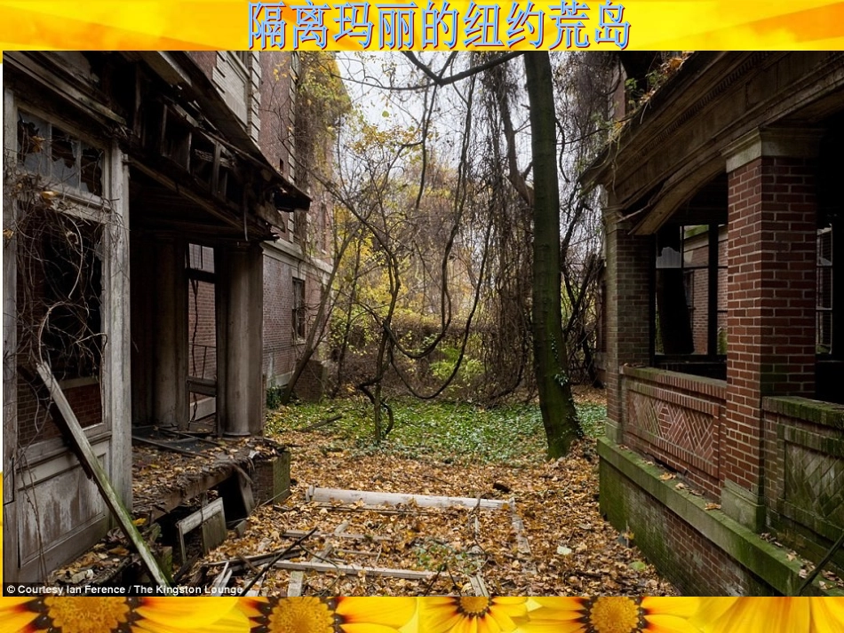 伤寒杆菌课件_第3页