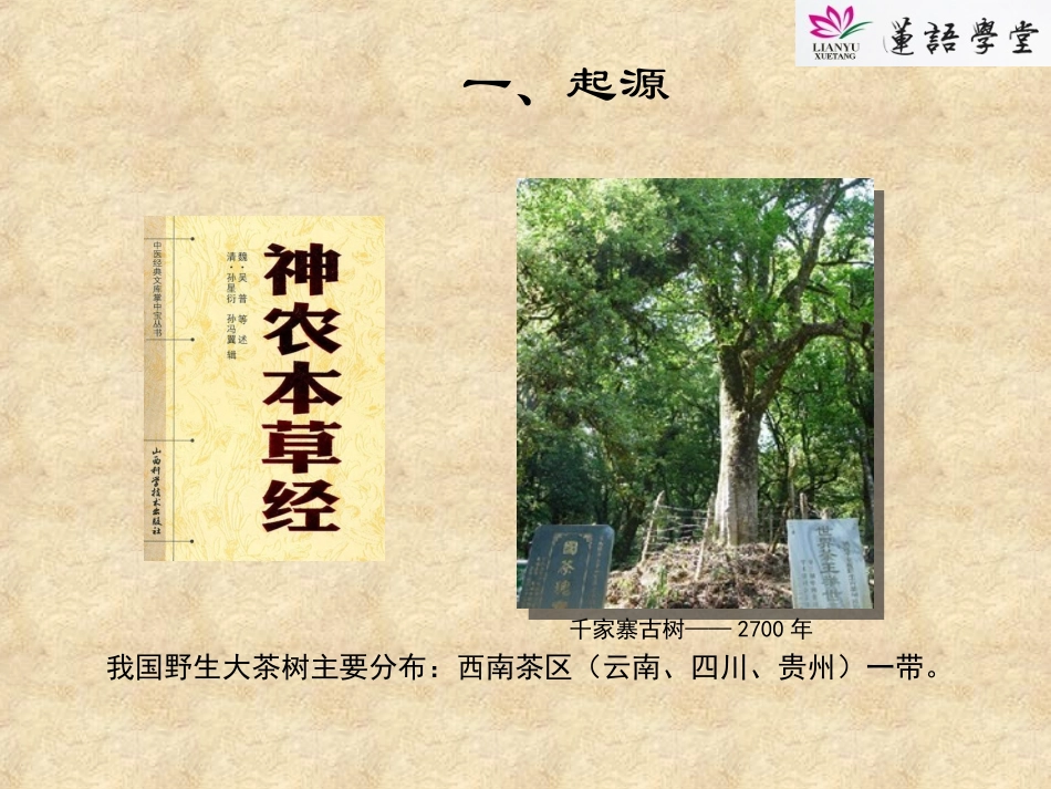 商务茶艺培训_第3页