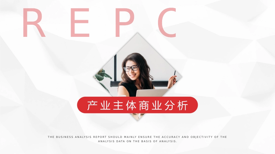 商业分析报告行业分析报告顶级版_第3页
