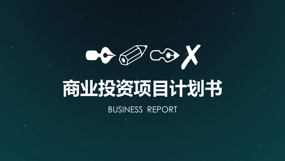 商业投资项目计划书_第1页