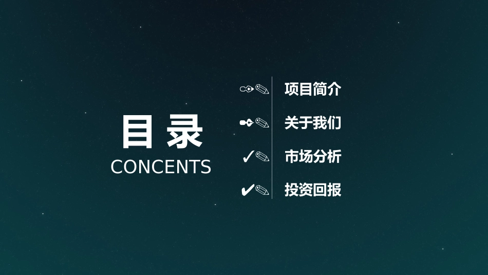 商业投资项目计划书_第2页