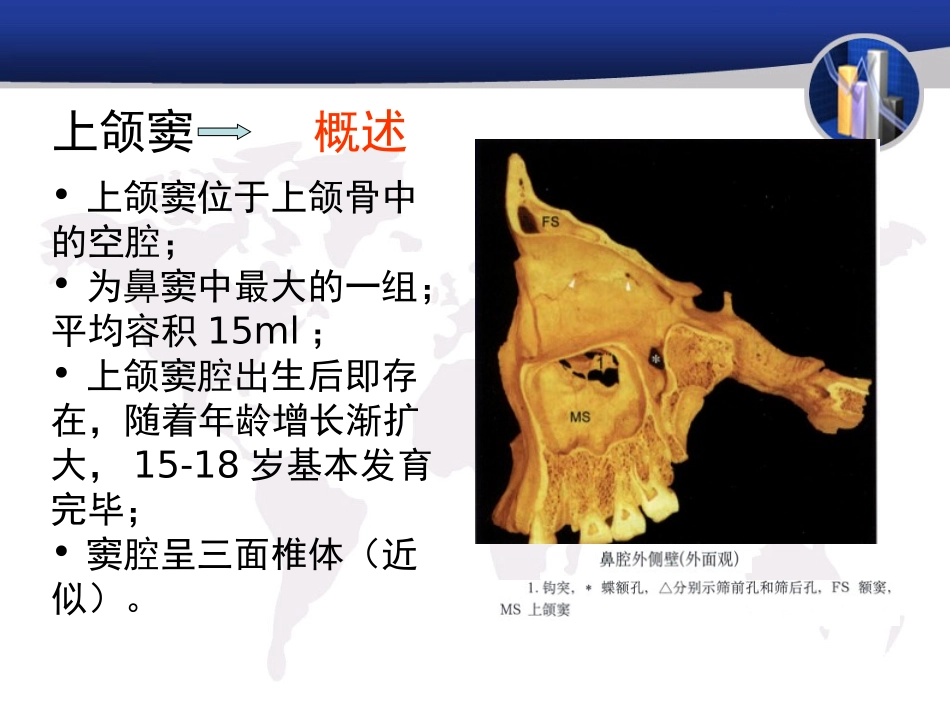 上颌窦解剖及影像学表现_第3页