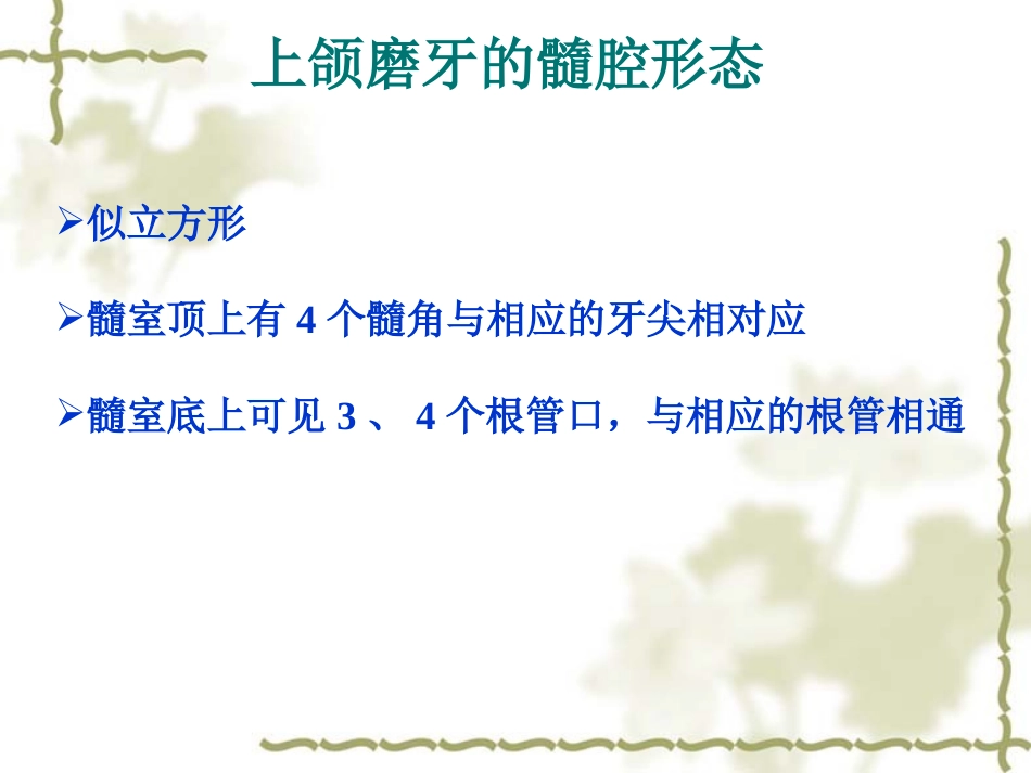 上下颌磨牙的髓腔形态及乳牙髓腔形态第二部分_第1页