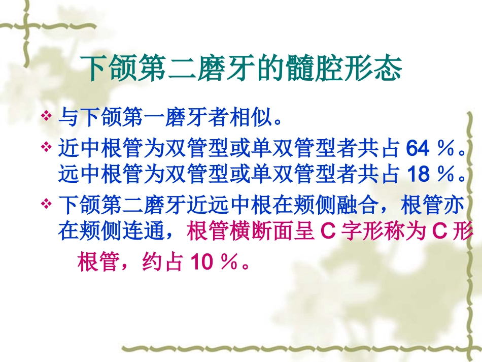 上下颌磨牙的髓腔形态及乳牙髓腔形态第二部分_第2页