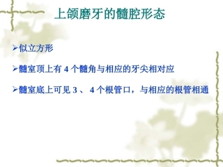 上下颌磨牙的髓腔形态及乳牙髓腔形态第一部分