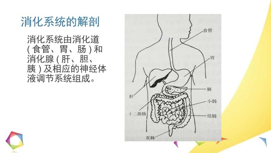 上消化道出血小讲课课件_第3页