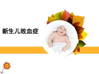 上新生儿败血症