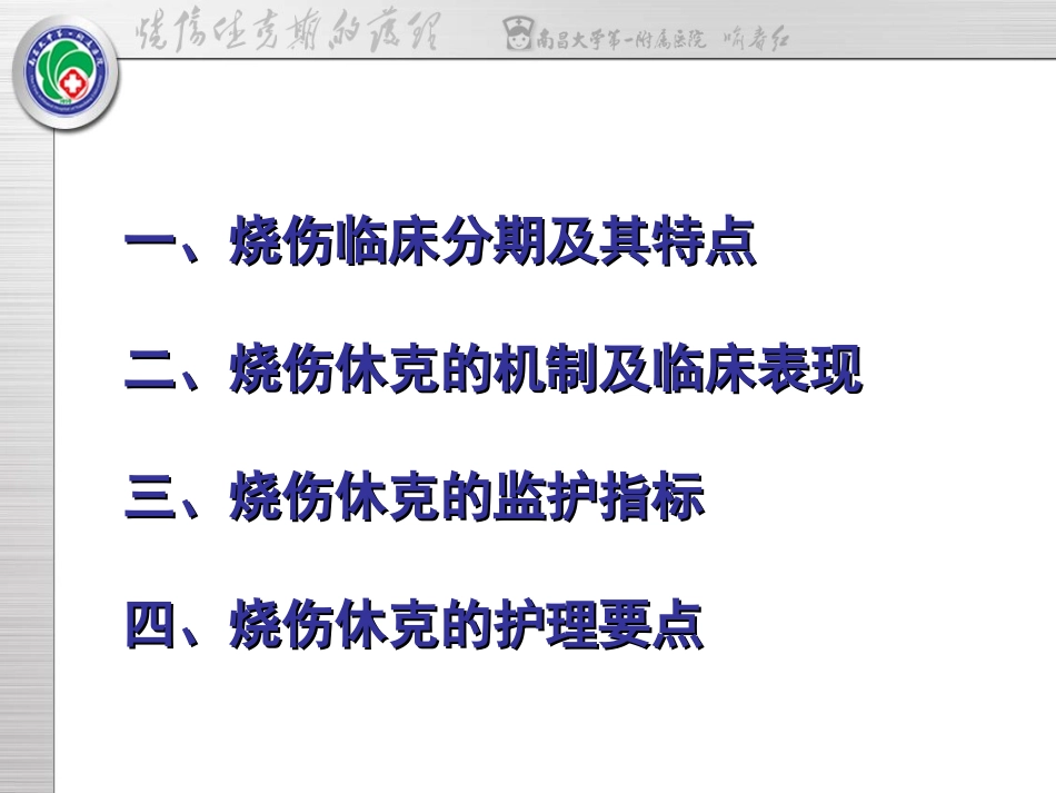 烧伤休克期的护理_第2页
