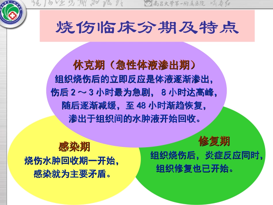 烧伤休克期的护理_第3页