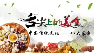 舌尖上的美食中国传统八大菜系