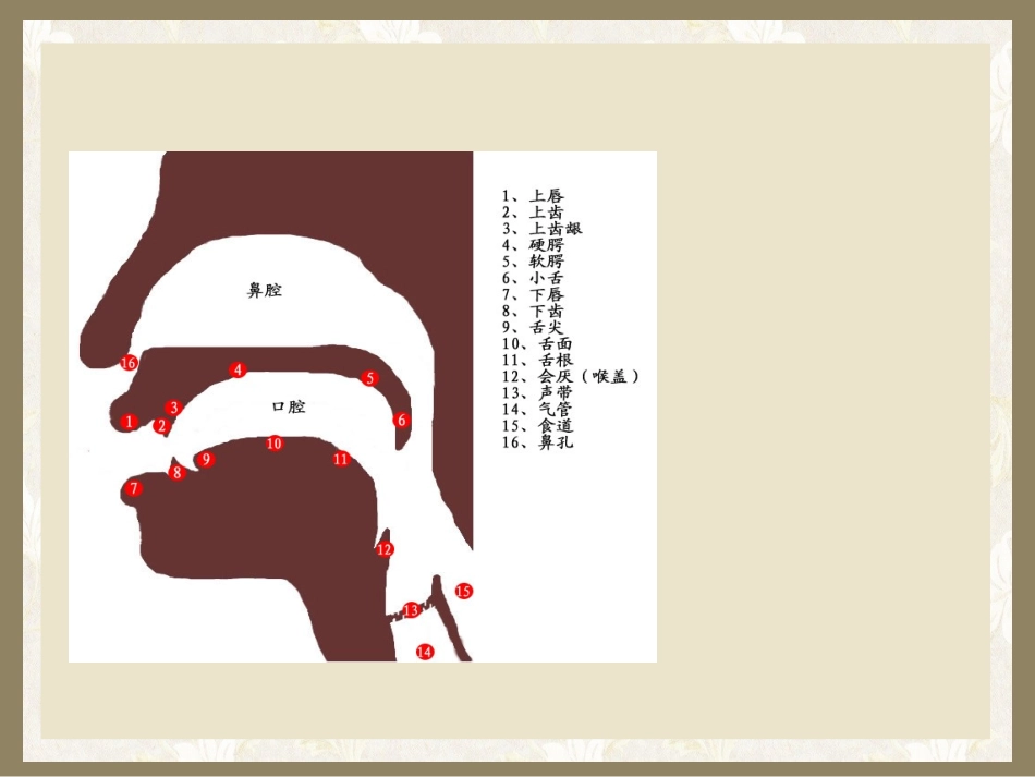 舌面前音jqx_第2页