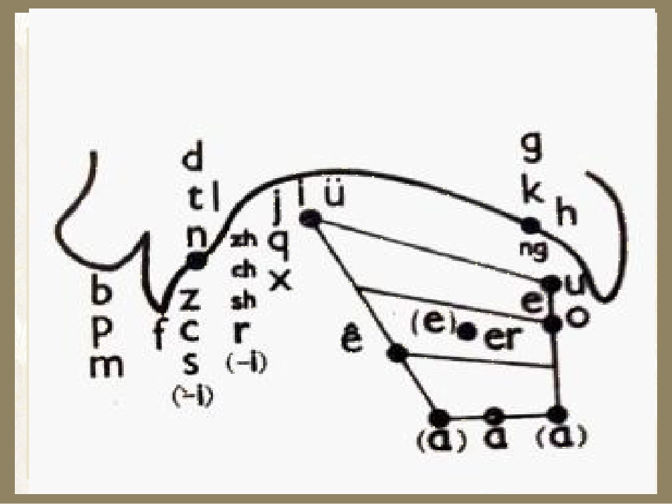 舌面前音jqx_第3页