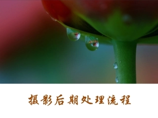 摄影后期处置技巧