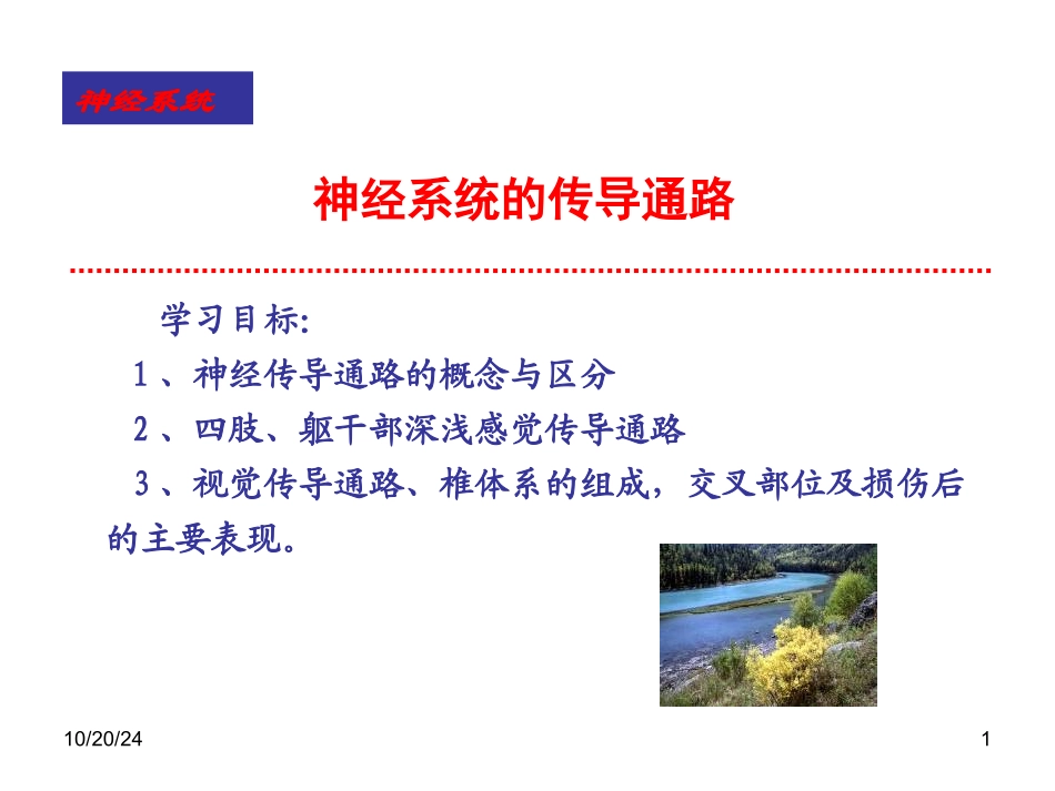 神经传导通路_第1页