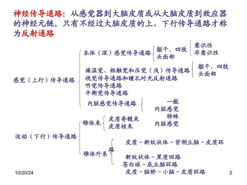 神经传导通路_第2页