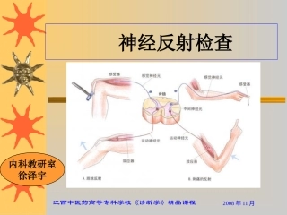 神经反射检查