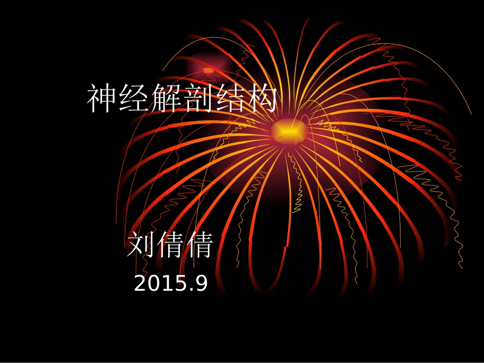 神经解剖结构_第1页