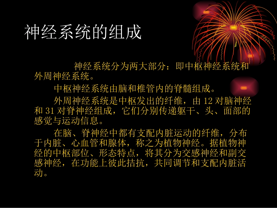 神经解剖结构_第2页