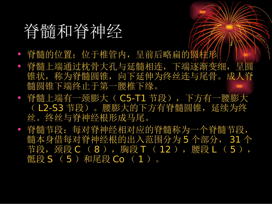 神经解剖结构_第3页