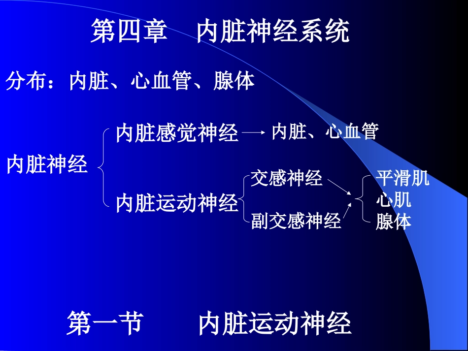 神经解剖内脏神经_第1页
