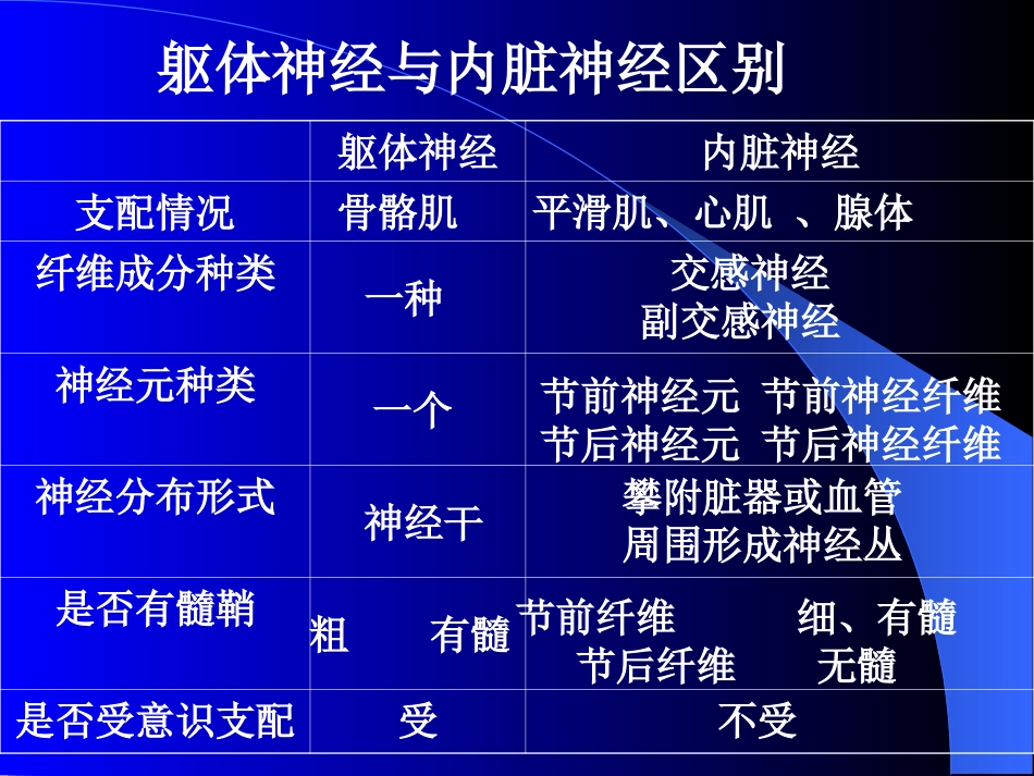 神经解剖内脏神经_第2页
