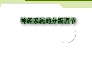 神经系统的分级调节
