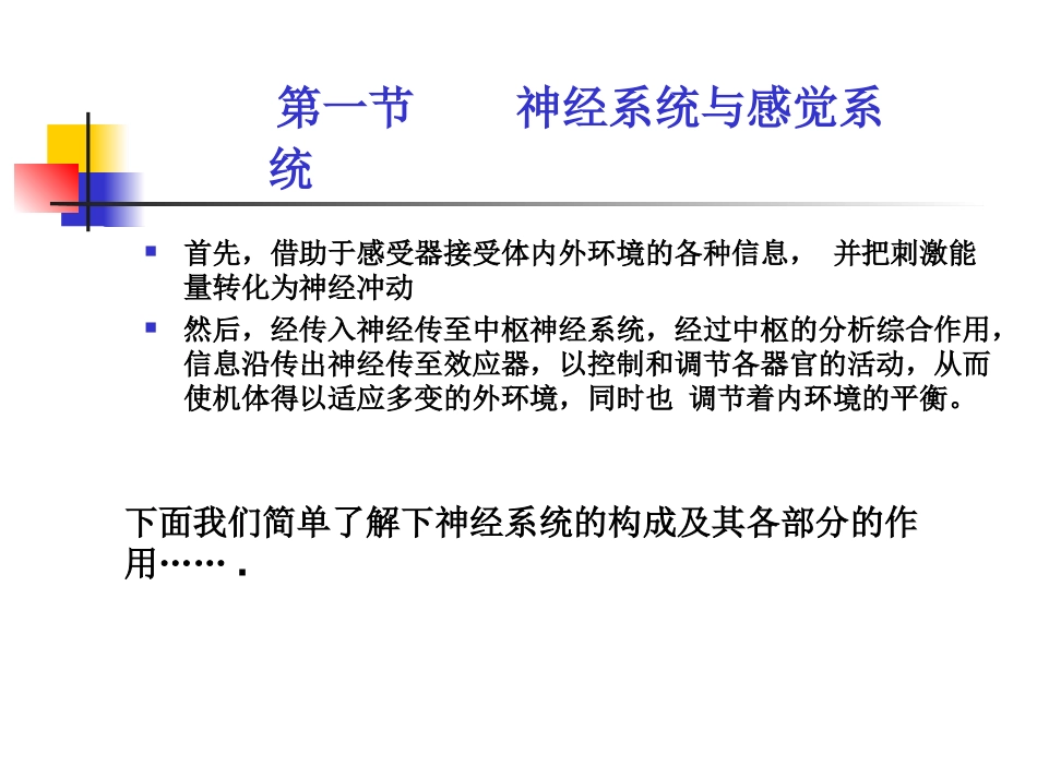 神经系统和感觉系统_第2页