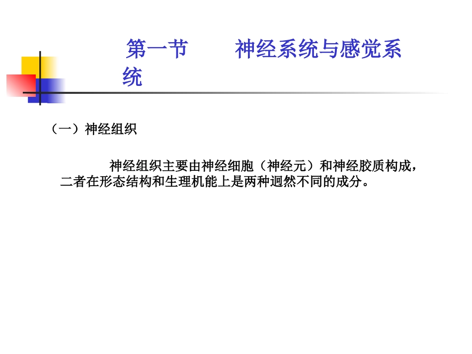 神经系统和感觉系统_第3页