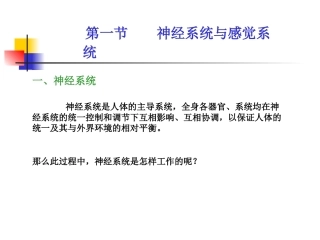 神经系统和感觉系统