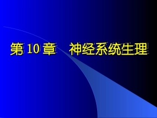 神经系统课件