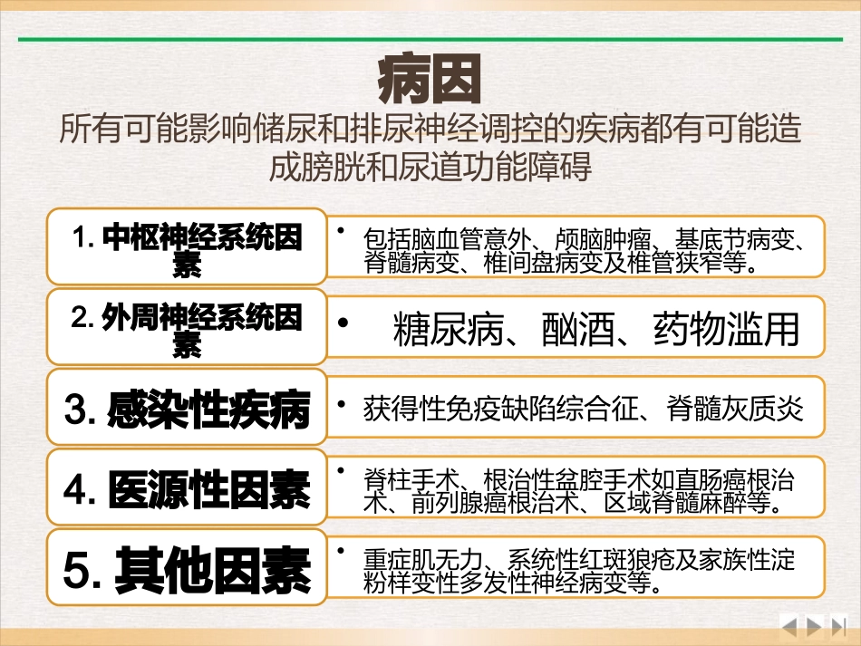 神经源性膀胱的康复护理完整版_第2页