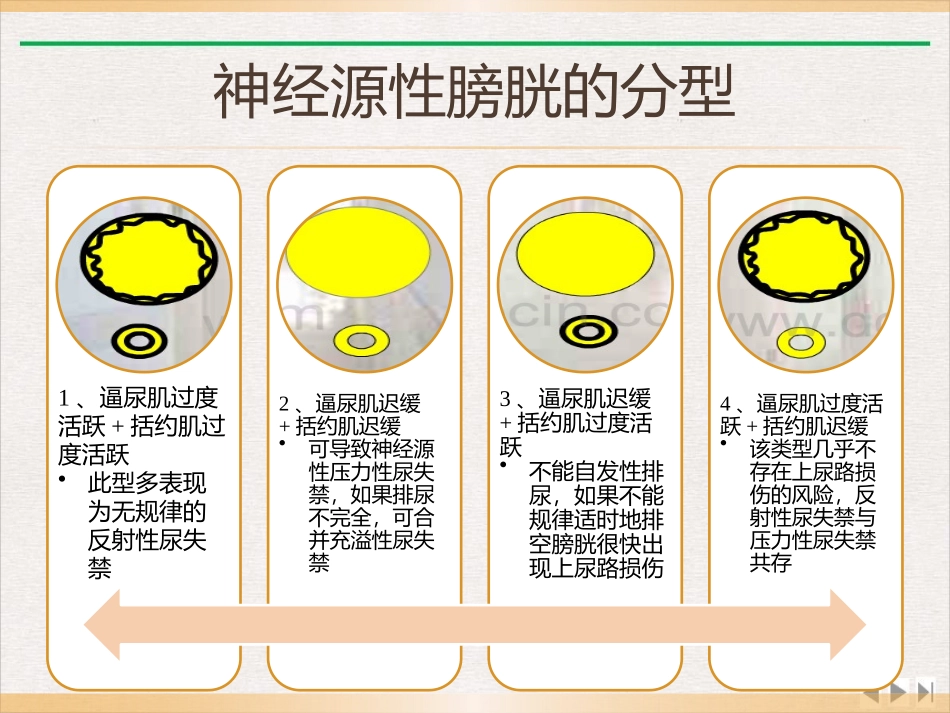 神经源性膀胱的康复护理完整版_第3页