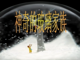 神奇的玻璃家族