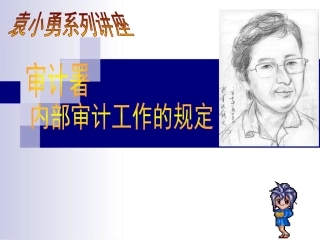 审计署内部审计规定V