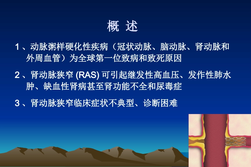 肾动脉狭窄介入治疗可编辑的文档_第3页