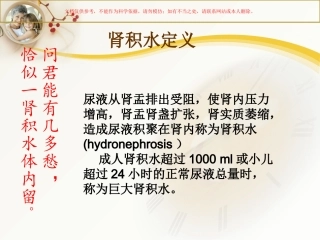 肾积水的护理课件