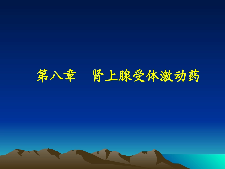肾上腺素受体激动药_第1页