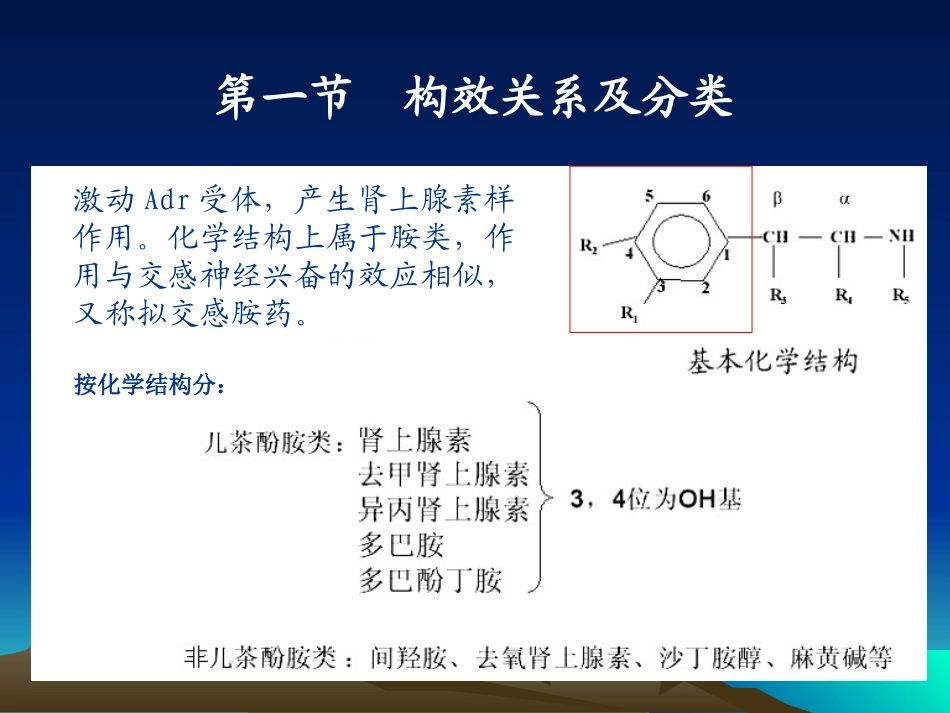 肾上腺素受体激动药_第2页