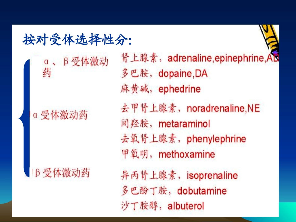 肾上腺素受体激动药_第3页