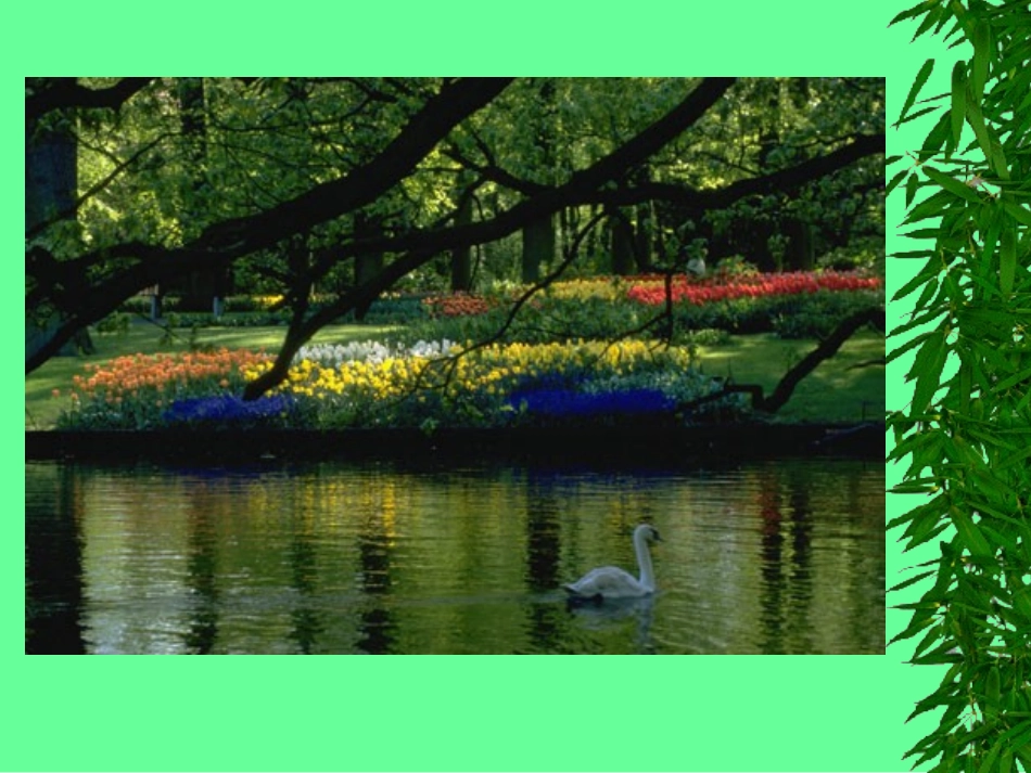 生态环境保护专题培训课件_第2页