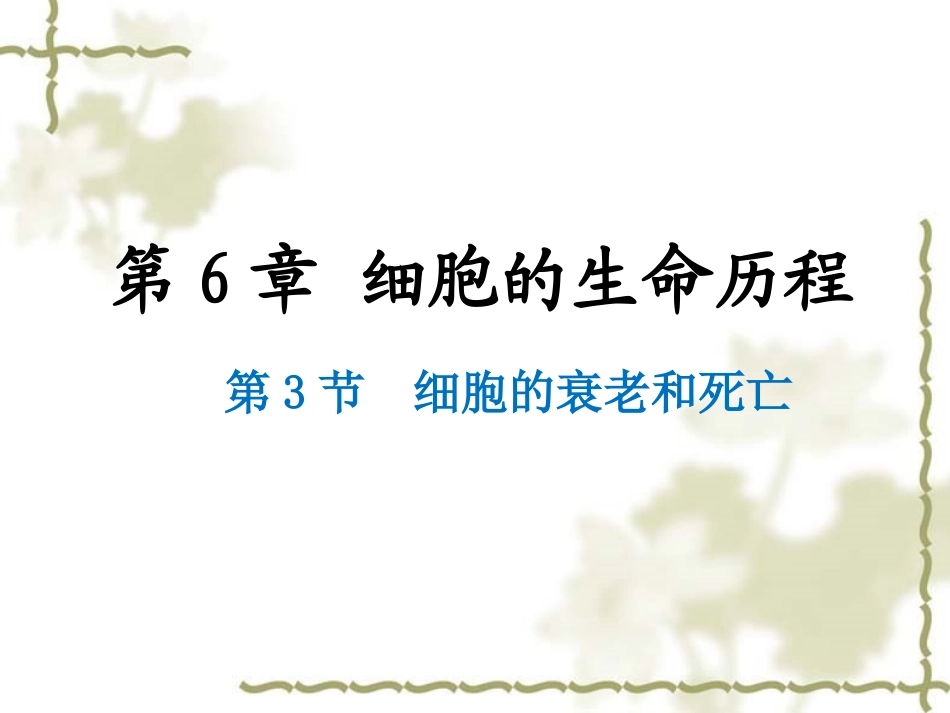 生物必修一细胞衰老详案课件_第1页