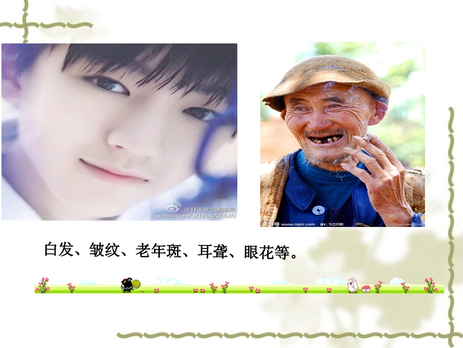 生物必修一细胞衰老详案课件_第2页