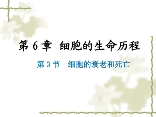 生物必修一细胞衰老详案课件